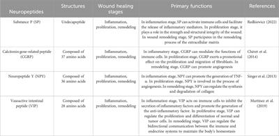 The role of neuropeptides in cutaneous wound healing: a focus on mechanisms and neuropeptide-derived treatments